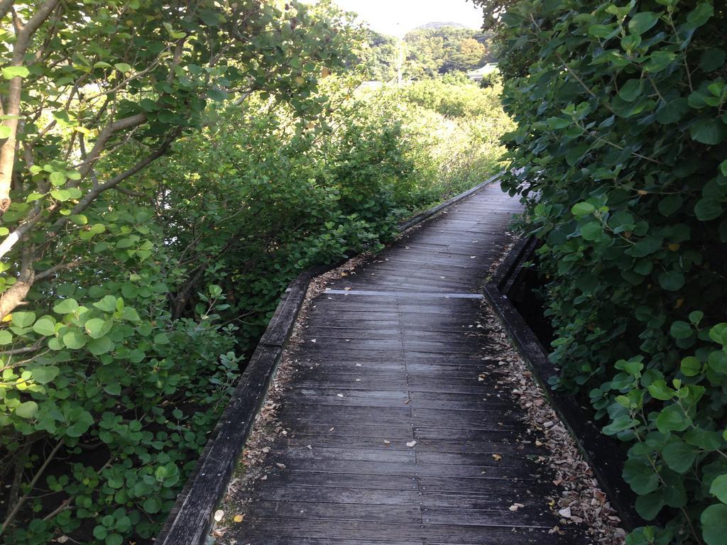 Retreat Wabi-Sabi - Walk To Ohama Beach - Max 12 Ppl Shimoda  Eksteriør billede
